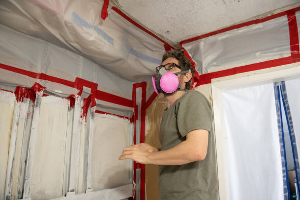 Mold Documentation for Insurance Claims