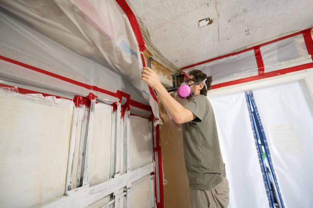 Best Dehumidification Services  in Stanton, NE
