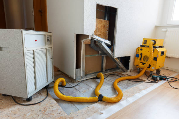 Professional Mold Removal in Stanton, NE