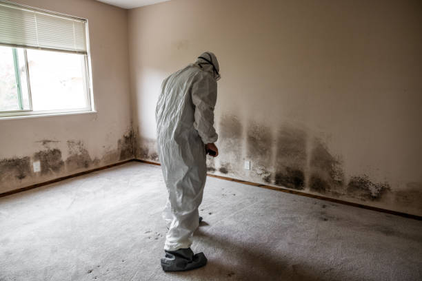 Best Residential Mold Inspection & Testing  in Stanton, NE