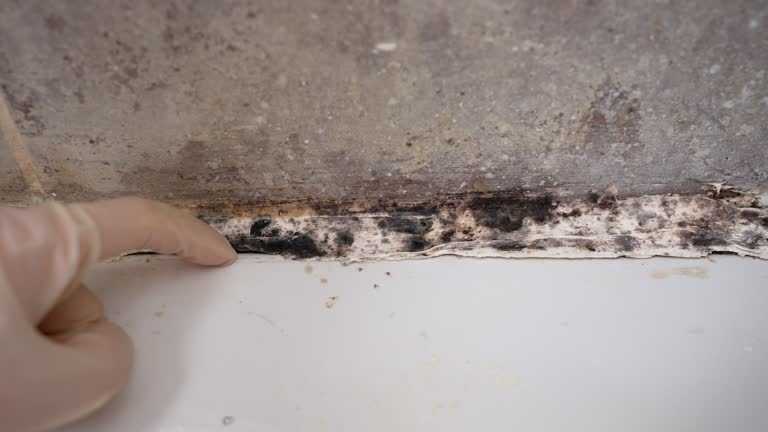 Best Indoor Air Quality Assessment  in Stanton, NE