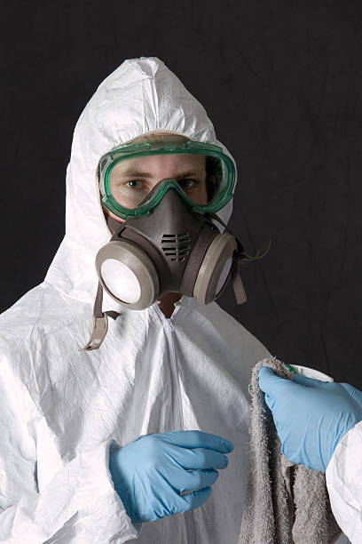 Asbestos and Lead Testing During Mold Inspection in Stanton, NE